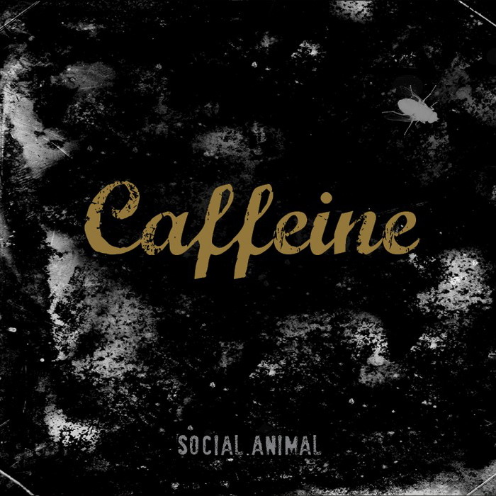 Caffeine - Social Animal