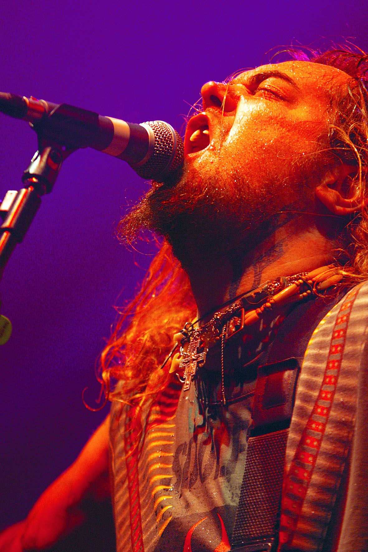 soulfly08