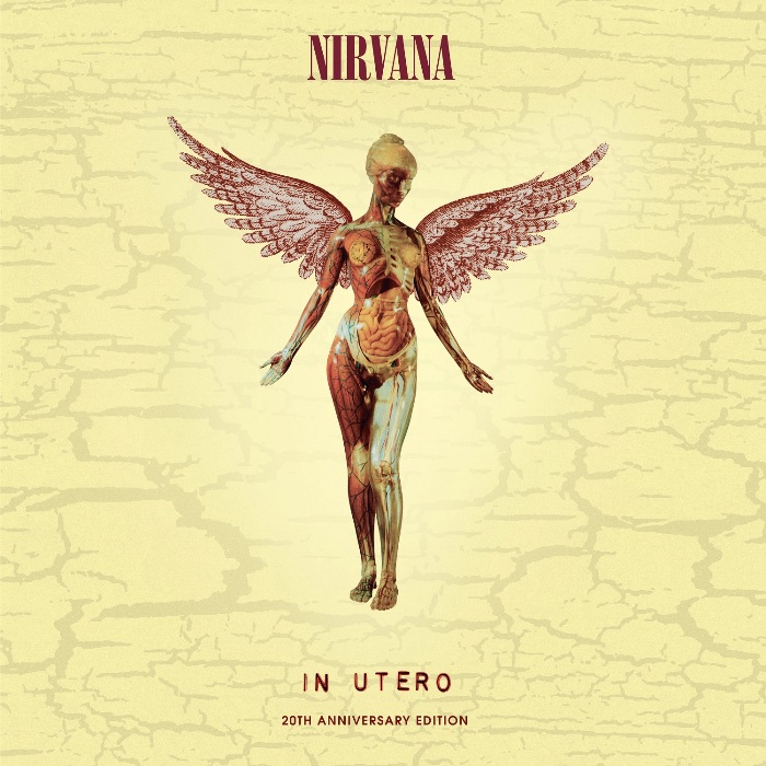Nirvana InUtero COVER