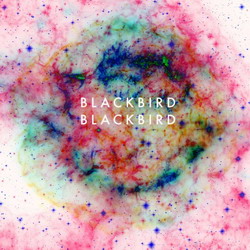 blackbird blackbird SQ