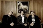 Muse