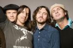 Kopie_-_red-hot-chili-peppers-006