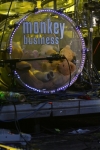 Monkey Business v Lucerně