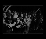 Vypsaná Fixa v Plzni