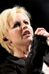 Brusinky, Růže, Zombie: The Cranberries se vrátili do Prahy