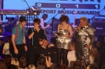 Žebřík 2011 Music Awards - VI.