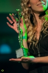 Žebřík 2012 Music Awards (II.): Chinaski a Nightwork