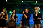 Žebřík 2012 Music Awards (IV.): Večer plný hudby, zábavy a sošek