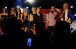 Žebřík 2013: Pětihodinový hudební maraton v Plzni