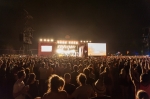 Sziget, den I.: Blink-182, The 1975, Ivan & The Parazol