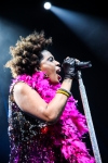 Vřískot kočky Macy Gray se rozléhal po celém SaSaZu