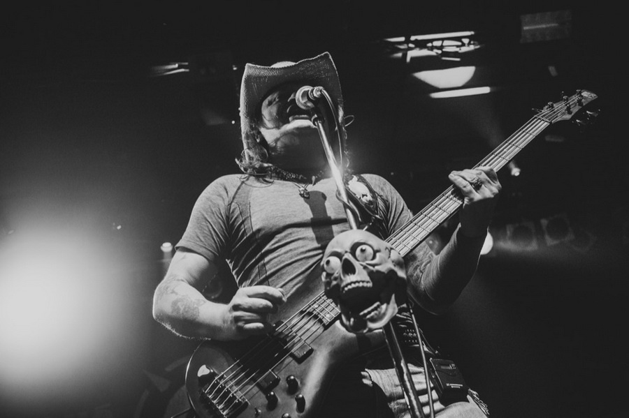 Nová růže po letech rozkvetla v pražské Roxy