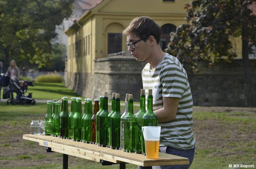 V Plzni proběhl tradiční Pilsner Fest, hráli No Name nebo Divokej Bill