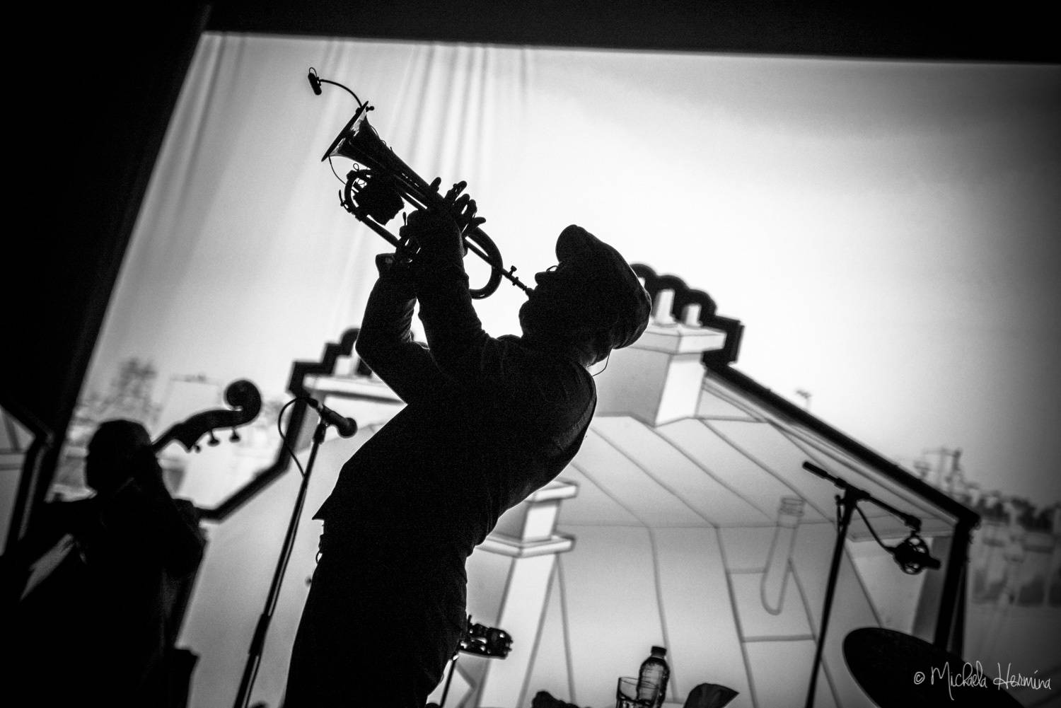 Zaz s písněmi o Paříži znovu zaplnila Forum Karlín