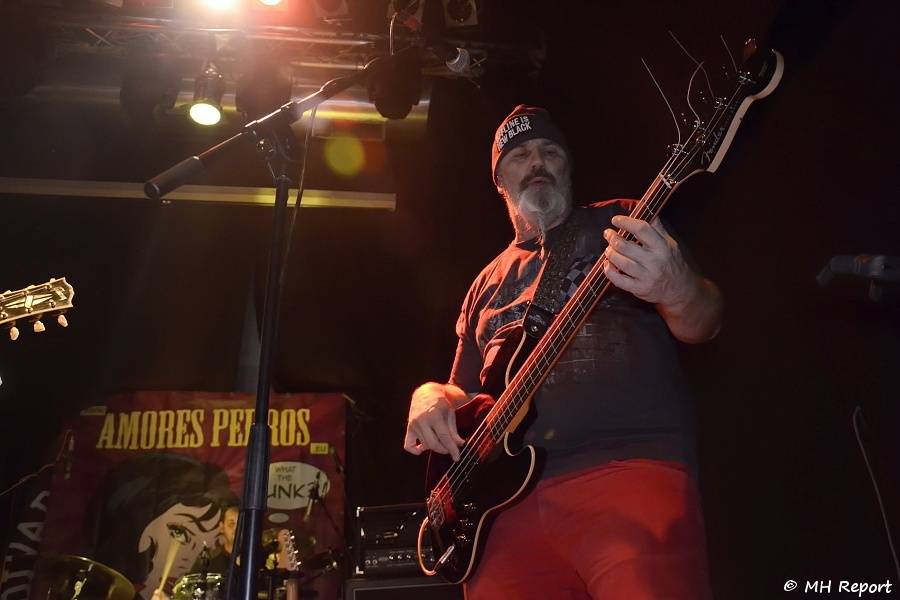 Amores Perros slavili 10 let! Od fanoušků dostali i dort