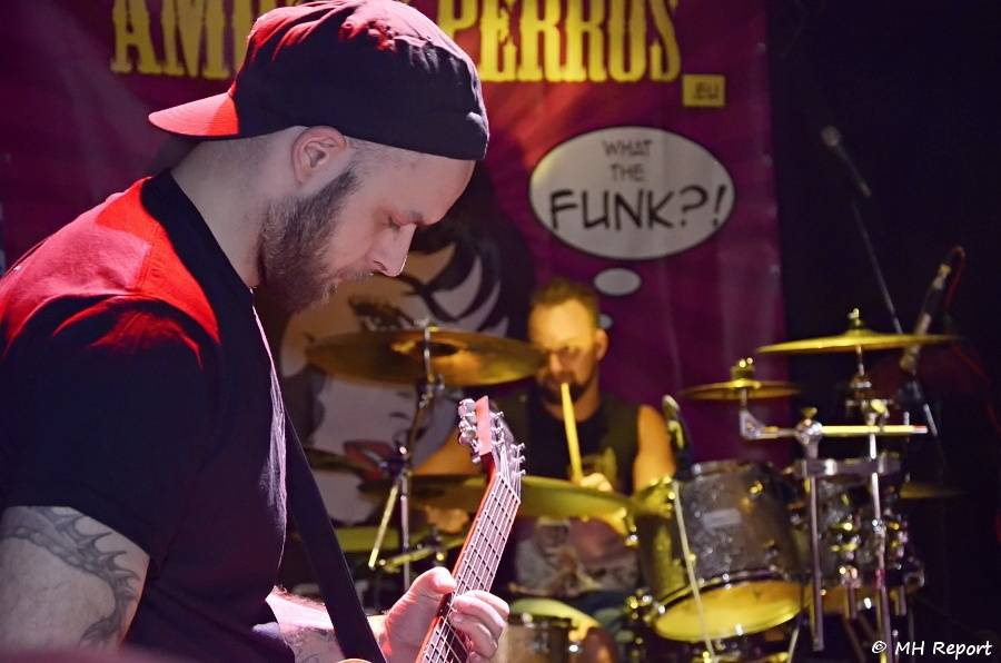 Amores Perros slavili 10 let! Od fanoušků dostali i dort