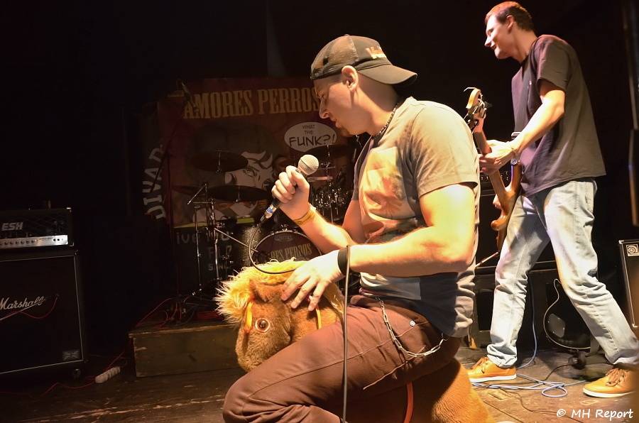 Amores Perros slavili 10 let! Od fanoušků dostali i dort