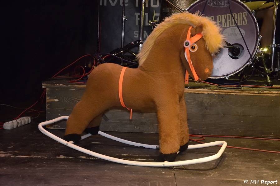 Amores Perros slavili 10 let! Od fanoušků dostali i dort