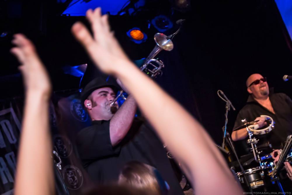 Sto zvířat vystavělo v Praze Ministerstvo mýho nitra