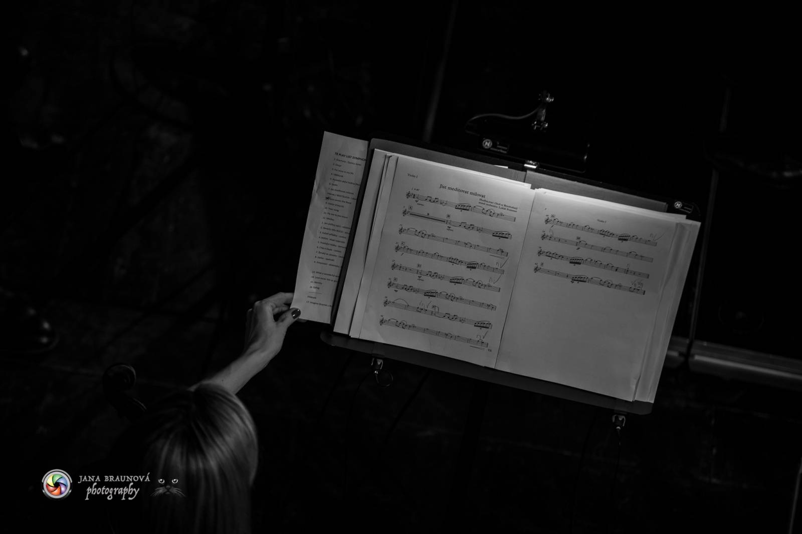 Ondřej Brzobohatý přivezl do Plzně symfonický orchestr. Zpíval i Eltona Johna nebo seriálové hity