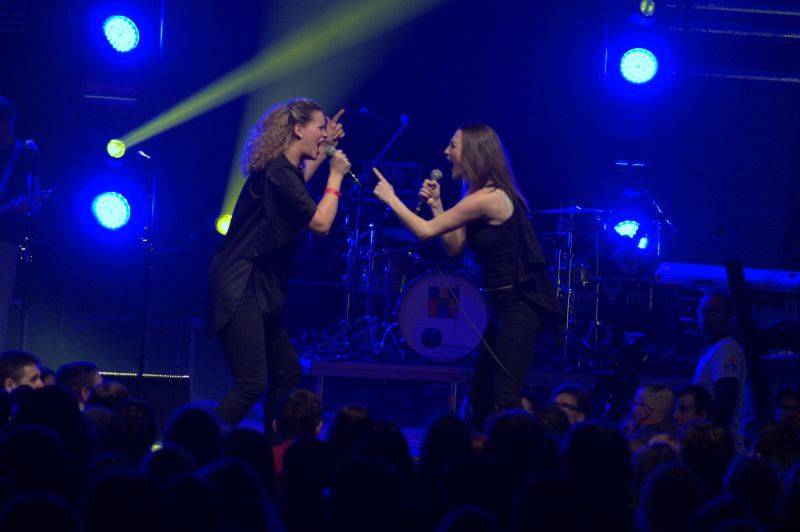 Žebřík 2015: Party ve znamení dobré hudby s Jelenem i No Name