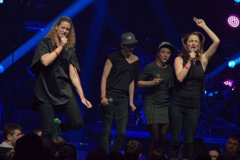 Žebřík 2015: Party ve znamení dobré hudby s Jelenem i No Name