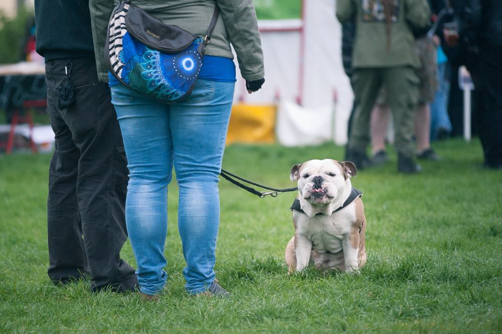 Pražský Apríles: Počasí sice nepřálo, ale program v čele s Cocotte Minute stál za to