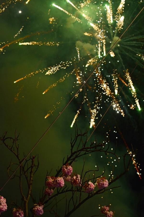 Brněnský Čarodějáles: Pohodovou atmosféru rozčeřili hvězdní Guano Apes