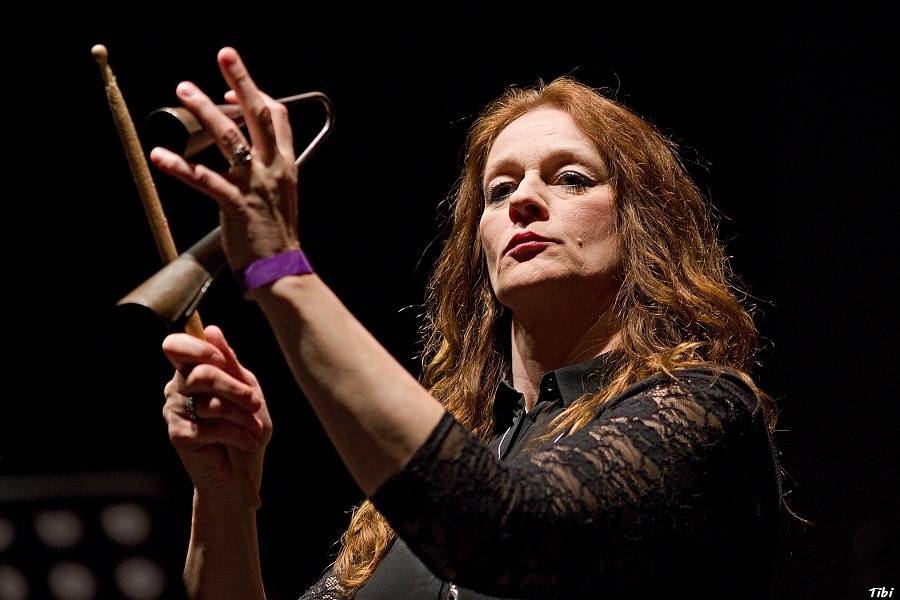 Když se hokej spojí s hudbou: v Českých Budějovicích hráli Kryštof, Michal Hrůza nebo Wohnout