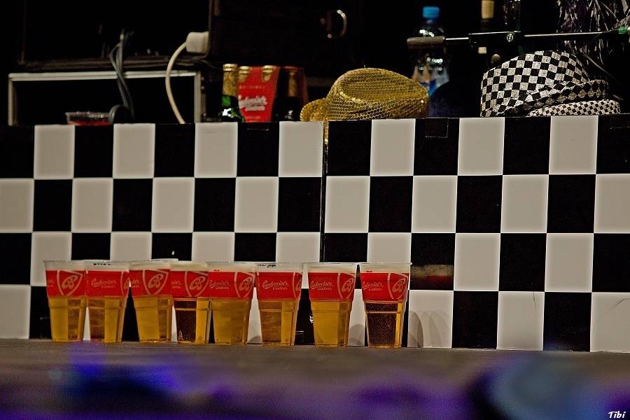 Když se hokej spojí s hudbou: v Českých Budějovicích hráli Kryštof, Michal Hrůza nebo Wohnout