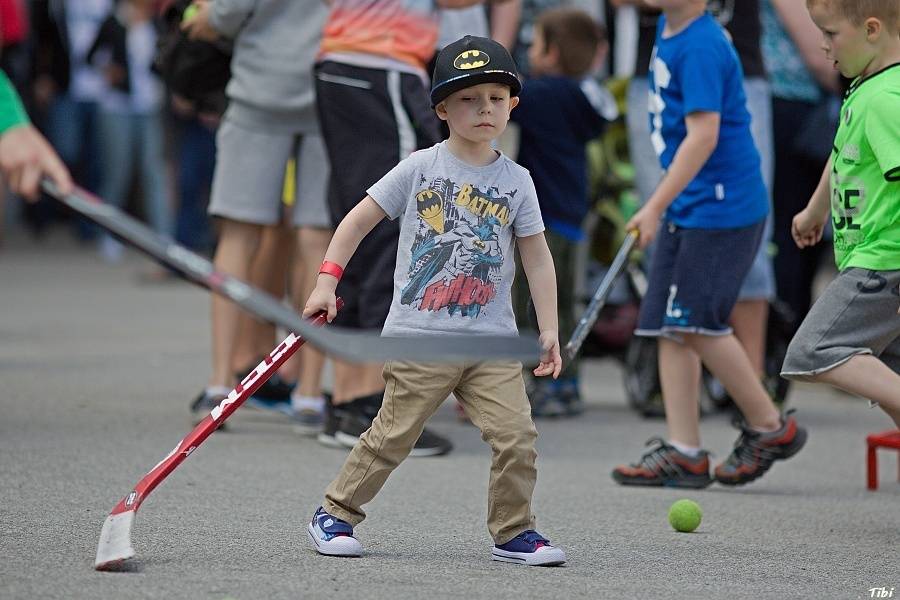 Když se hokej spojí s hudbou: v Českých Budějovicích hráli Kryštof, Michal Hrůza nebo Wohnout