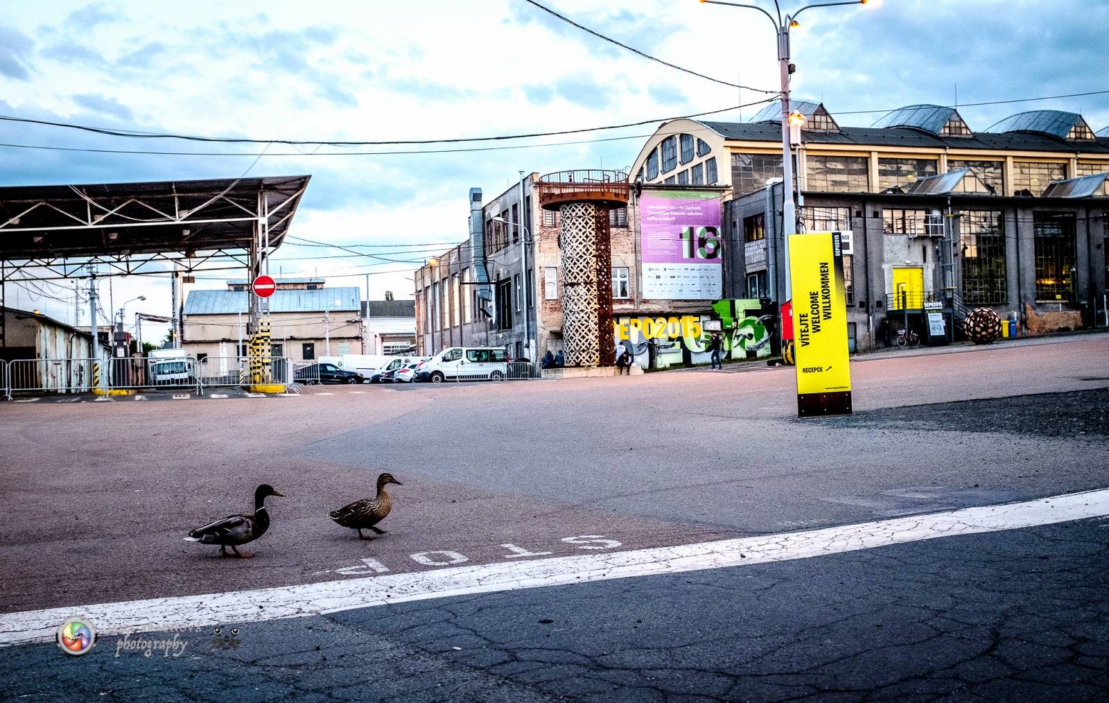 Marpo a Troublegang v Plzni: skákající fanoušci, přetlačování s ochrankou a divoká show