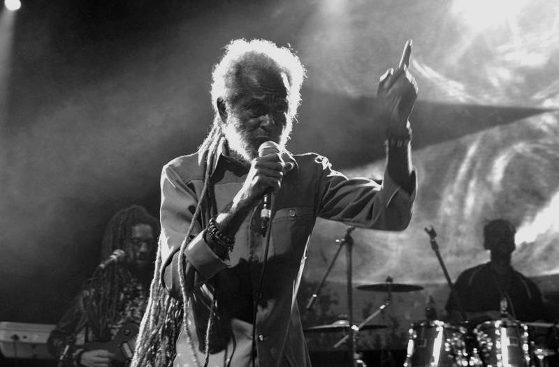 Jamajský večírek v Lucerna Music Baru: publikum rozhoupal Max Romeo 