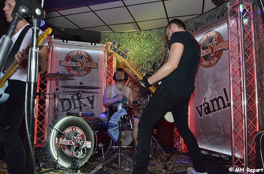 zakázanÝovoce v Kalikováku: Energie a hity rozpumpovaly diváky v Plzni