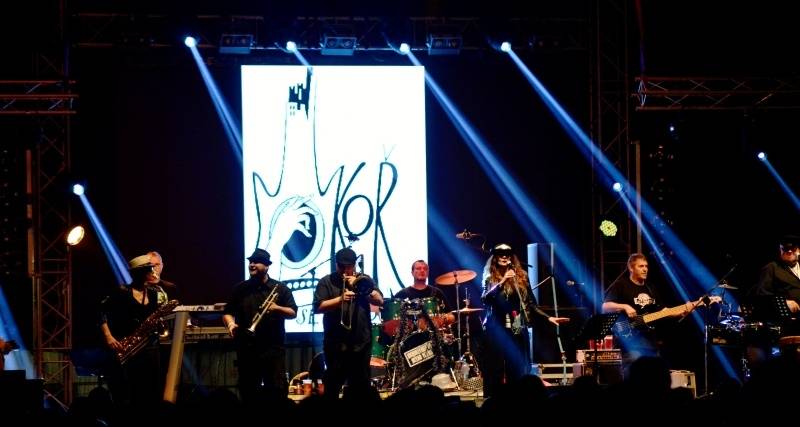 ONLINE: Okoř se šťávou (II.): Hvězdami večerního programu jsou Visací zámek, Sto zvířat, Slza nebo Rybičky 48