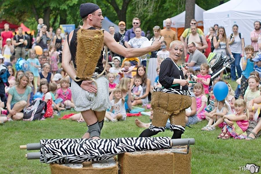 Bohnice obsadily hudební hvězdy: Na Mezi Ploty vystoupili Divokej Bill, Pipes And Pints a další