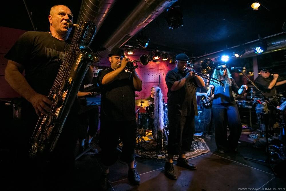 Sto zvířat se po roce vrátilo do Jazz Docku