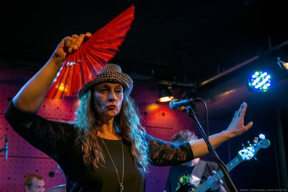 Sto zvířat se po roce vrátilo do Jazz Docku