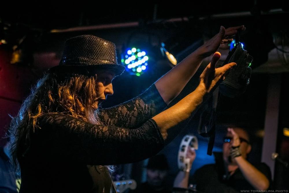 Sto zvířat se po roce vrátilo do Jazz Docku