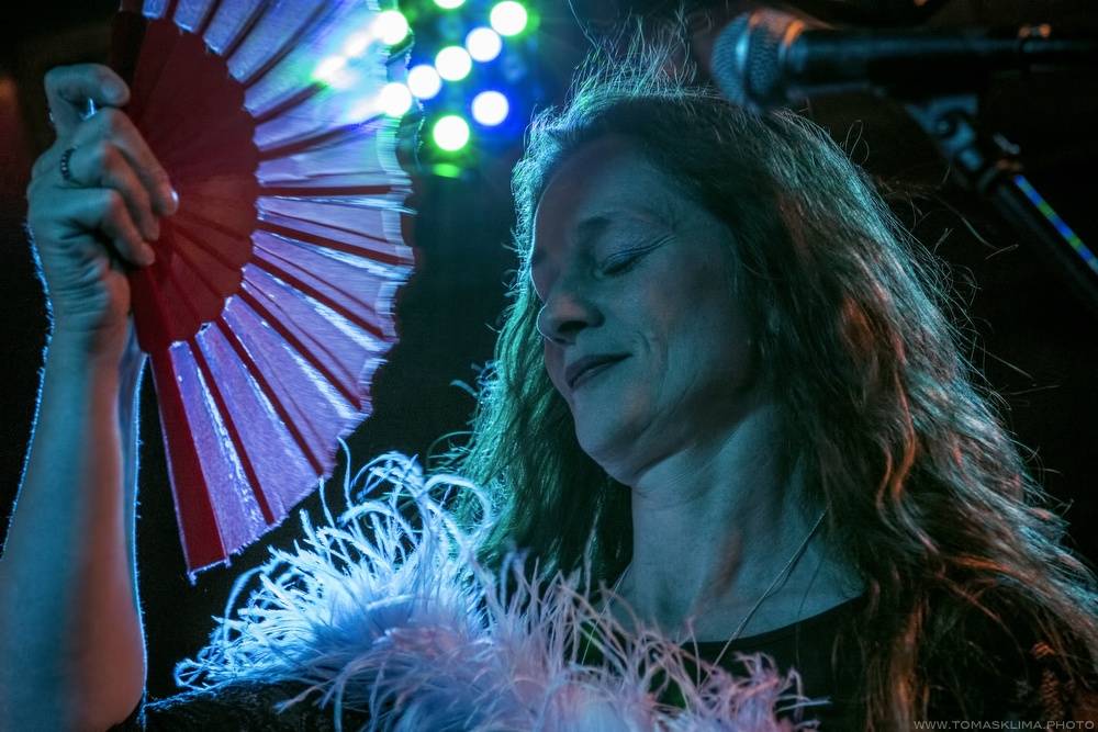 Sto zvířat se po roce vrátilo do Jazz Docku