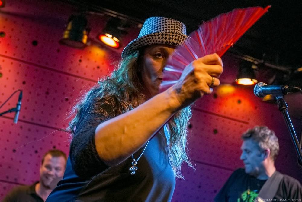 Sto zvířat se po roce vrátilo do Jazz Docku