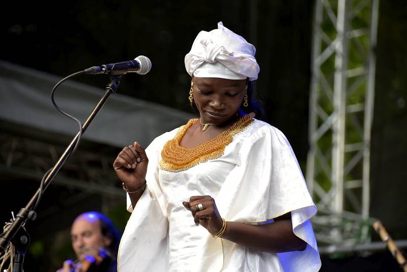 Pražský Respect festival: Diváky oslnili Diwan Saz, Zuco 103 a další kapely z celého světa