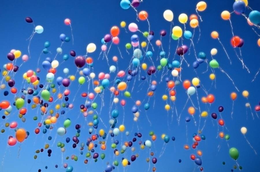 Holešovská regata viděla domácí špičku: přijeli Kryštof, Aneta Langerová, No Name i Jelen