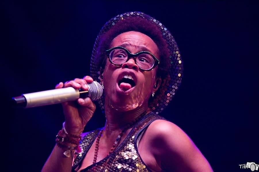 Přeštěnice 2016: V pátek viděli fanoušci Kryštof, No Name i Monkey Business