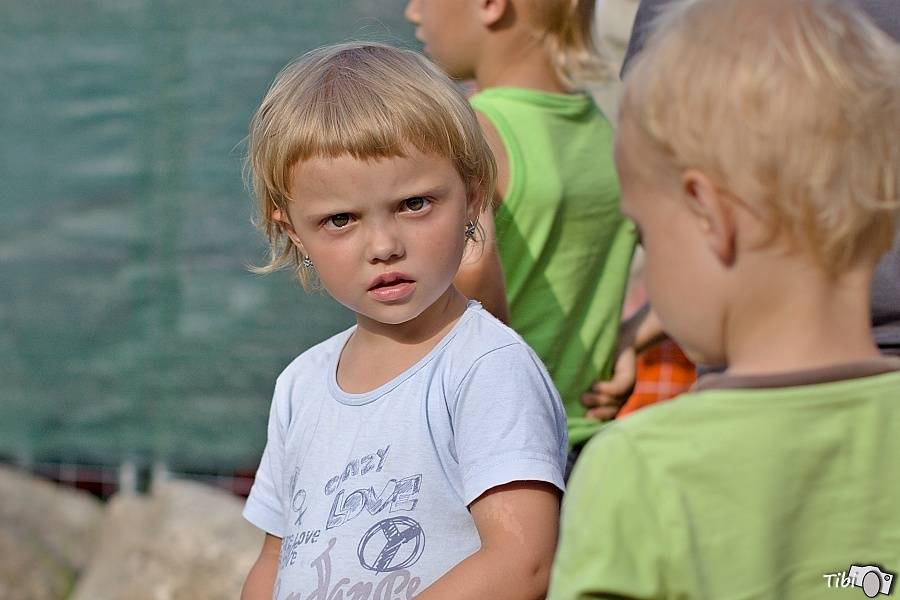 Čeřínek Fest přivítal na zahradě skupiny Divokej Bill, Wohnout nebo Blue Effect