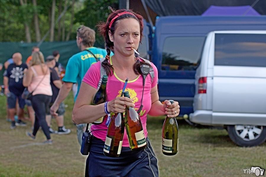 Čeřínek Fest přivítal na zahradě skupiny Divokej Bill, Wohnout nebo Blue Effect