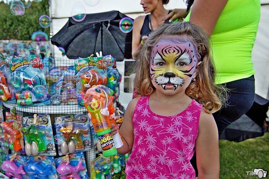 Čeřínek Fest přivítal na zahradě skupiny Divokej Bill, Wohnout nebo Blue Effect