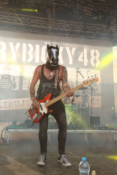 Hrady CZ bavily na Švihově. Vystoupili Kabát, Mandrage, Pražský výběr a další