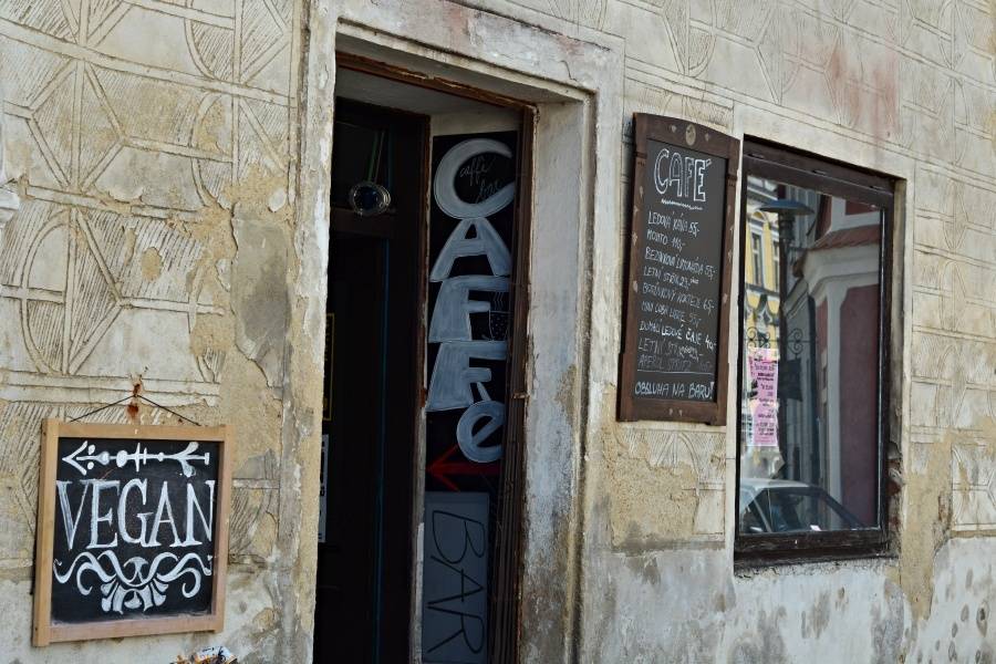 Slavonice spojily film s hudbou, předvedli se Indy & Wich i Blue Effect