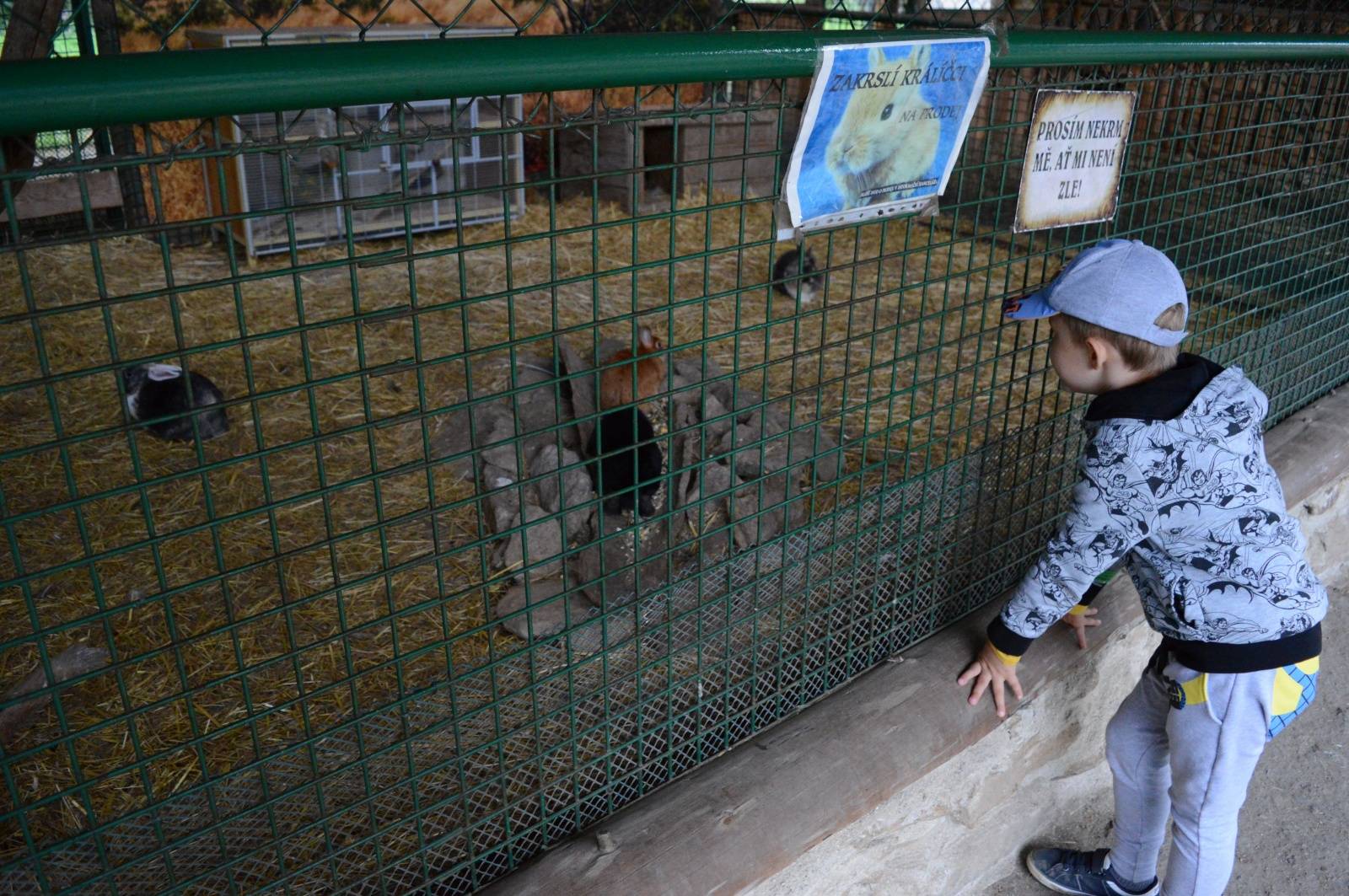 Léto lásky si podmanilo Šiklův mlýn. Fanoušky bavili Ewa Farna, Chinaski, Slza i Jelen